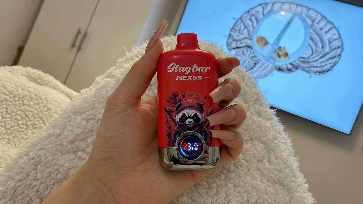 Puolan vape-vero, IEVA-vetoomus Puolalle