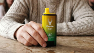 EU vape-forbud, nedlukning af vaping i Nederlandene