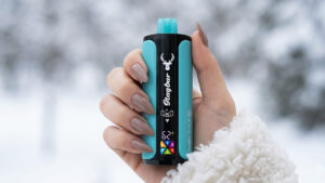 Brandenburg: Verbot von Einweg-Vapes, Deutschlands Rückgaberegeln