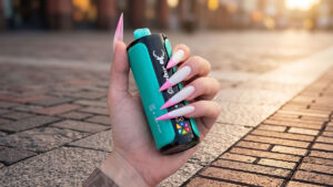 Interdicția privind vape-urile de unică folosință în Irlanda, legislația Oireachtas