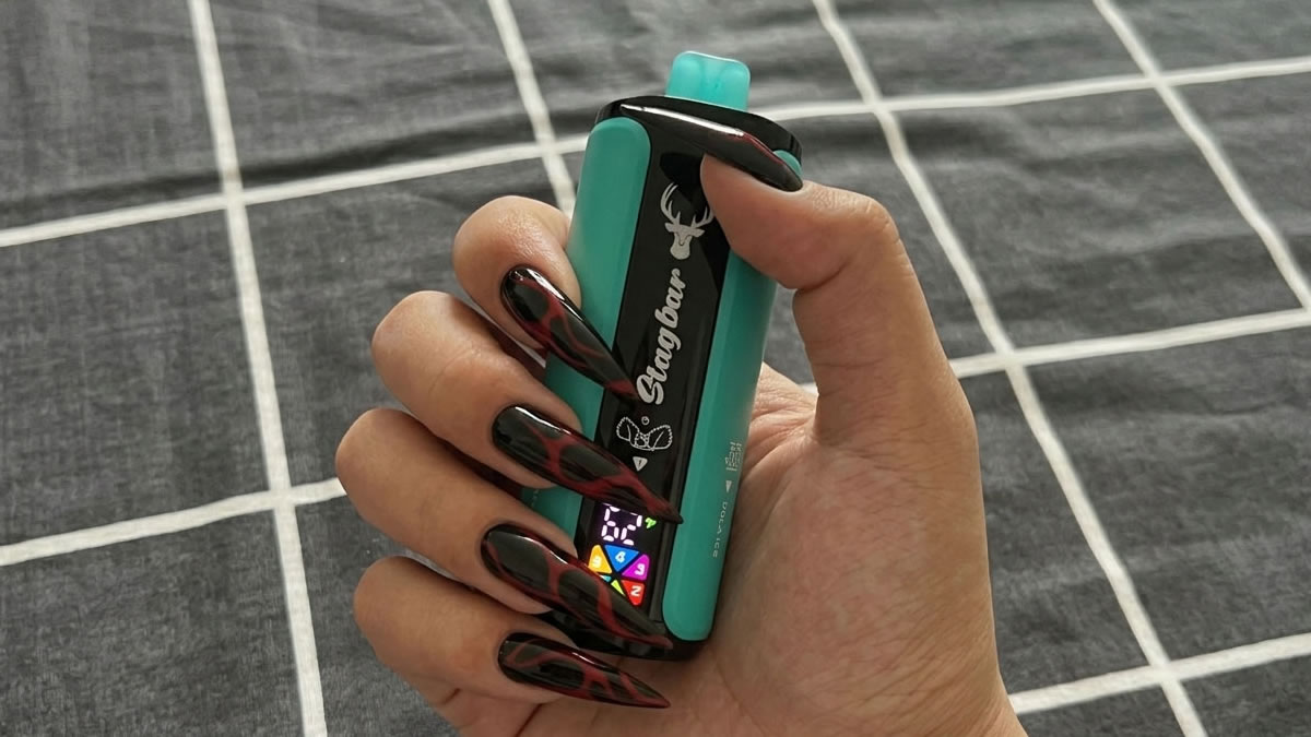 Macaon e-savukkeiden käyttökielto, Macaon vape-hallussapitolaki