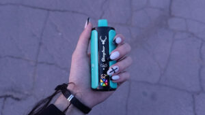 Duitse tabaksaccijns, Duitse sigarettenprijzen, vape-belasting Duitsland