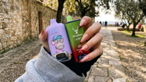 atvia vape laws, Latvia flavor ban