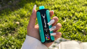 vape laws Austria, travel with vape Austria