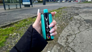 vaping laws France, can you vape in France