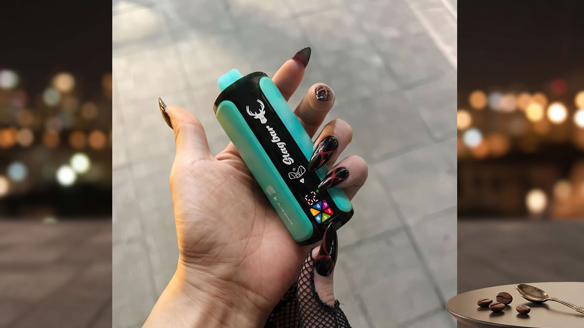 vaping laws Germany, disposable vape ban Germany