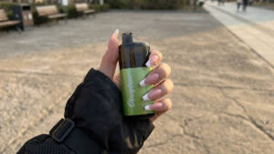 Kann man in Argentinien vapen? Argentinische Vaping-Gesetze