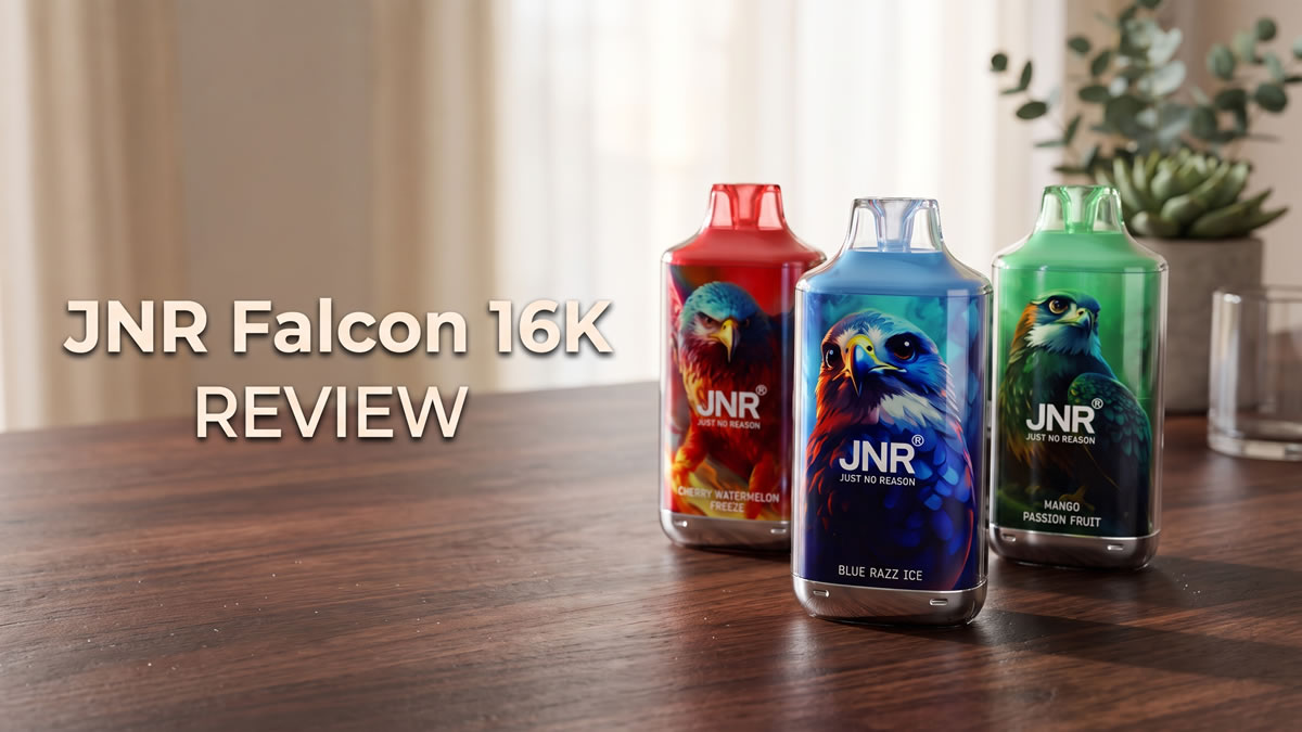 JNR Falcon 16K Puffs Disposable Vape Review